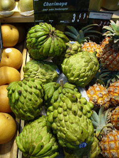 Annona atemoya Atemoya