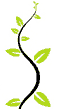 icon of climber